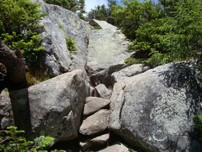 The Franconia Ridge Trail on the way to Mt. Liberty