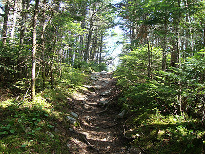 The Franconia Ridge Trail on the way to Mt. Liberty