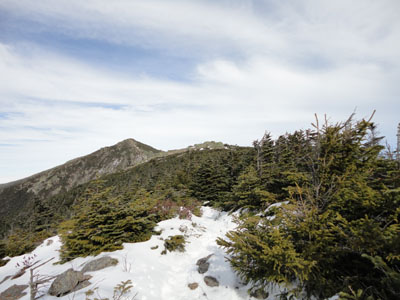 The Franconia Ridge Trail on the way to Mt. Liberty