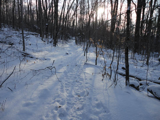 Looking up the Liberty Spring Trail