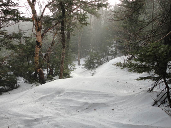The Franconia Ridge Trail on the way to Mt. Liberty