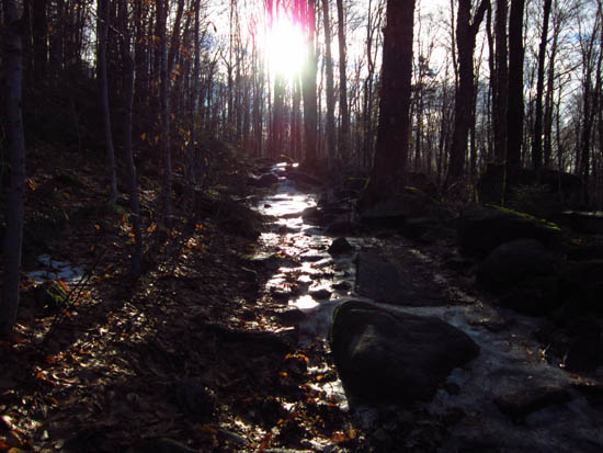 Looking up the Liberty Spring Trail