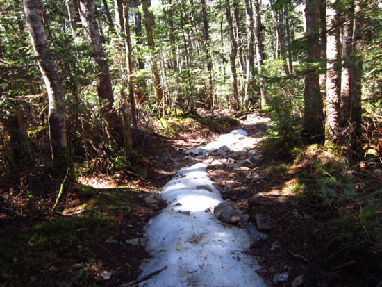 The Franconia Ridge Trail on the way to Mt. Liberty
