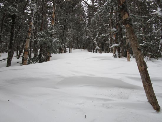 The Franconia Ridge Trail to Mt. Liberty