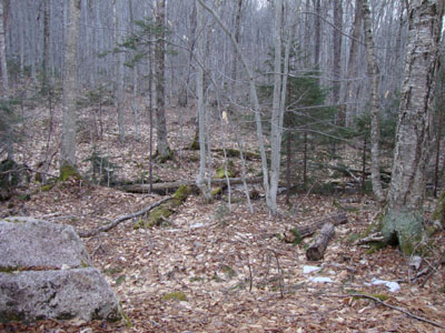 The start of the bushwhack to the Liberty Spring Trail from the bike path