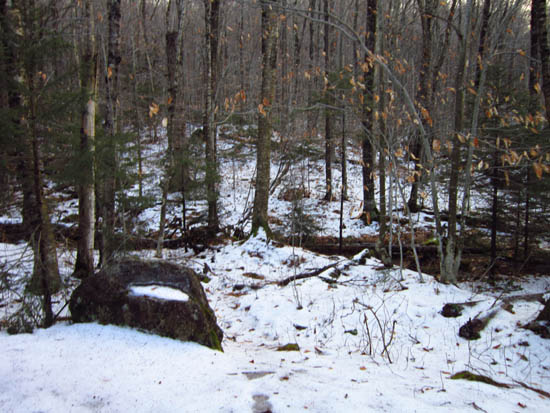 The start of the bushwhack to the Liberty Spring Trail from the bike path
