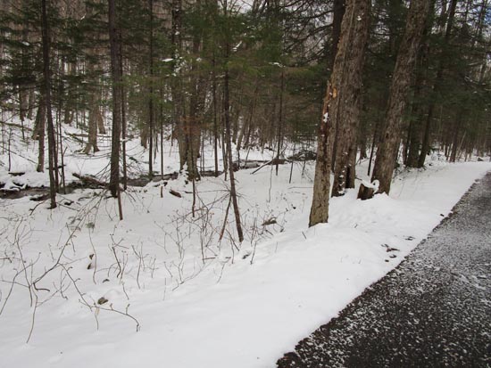 The start of the herd path to the Liberty Spring Trail from the bike path