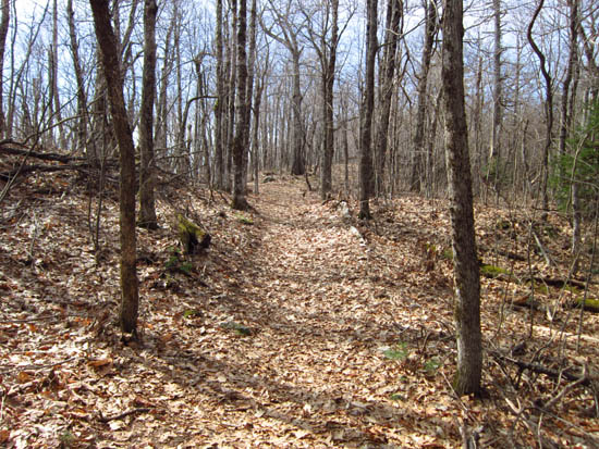 The Crawford Ridgepole Trail