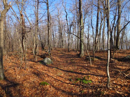 The Crawford-Ridgepole Trail