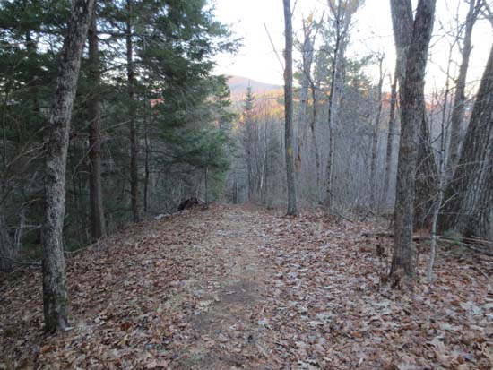 The Crawford-Ridgepole Trail