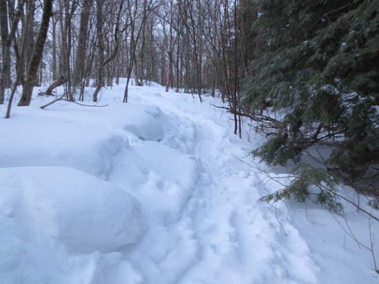 The Crawford-Ridgepole Trail