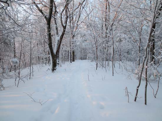 The Crawford-Ridgepole Trail