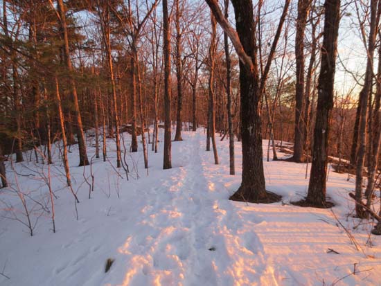 The Crawford-Ridgepole Trail