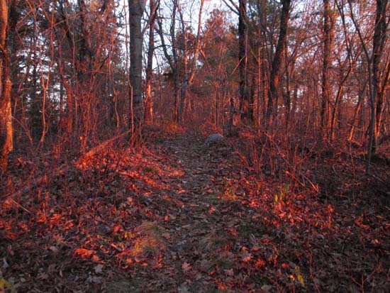 The Crawford-Ridgepole Trail