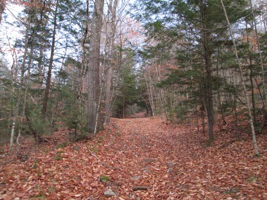 Old Mountain Road