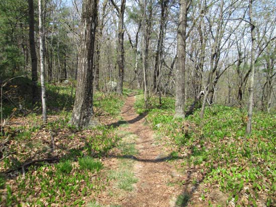 The Crawford-Ridgepole Trail