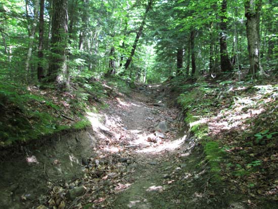 Old Mountain Road