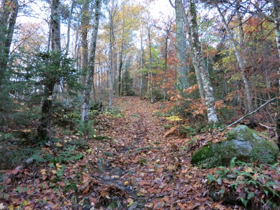The Crawford-Ridgepole Trail just after sunrise