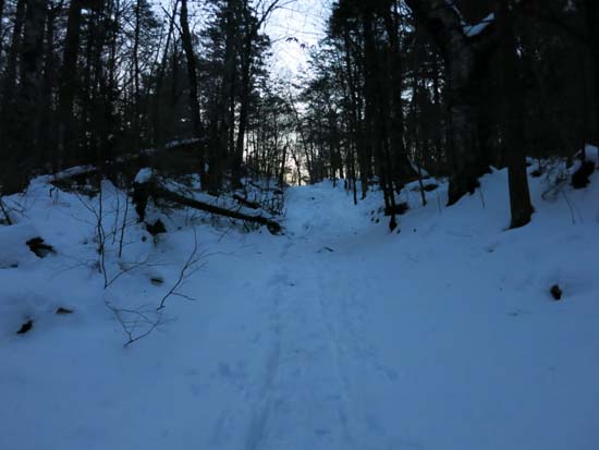 Old Mountain Road near the junction with Crawford Ridgepole Trail