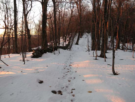 The Crawford Ridgepole Trail