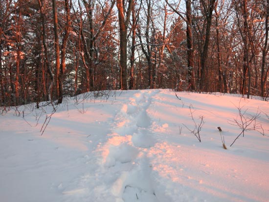The Crawford Ridgepole Trail