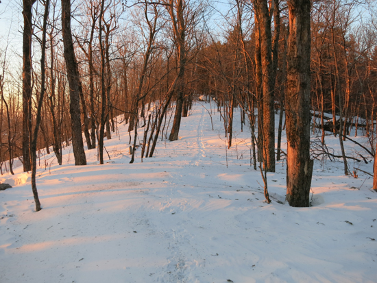 The Crawford Ridgepole Trail