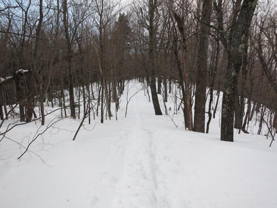 The Crawford Ridgepole Trail