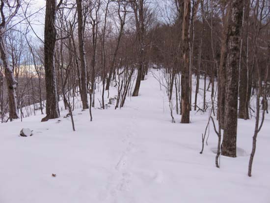 The Crawford Ridgepole Trail