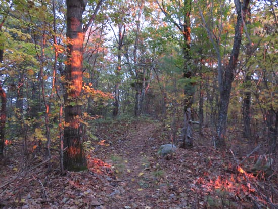 The Crawford Ridgepole Trail