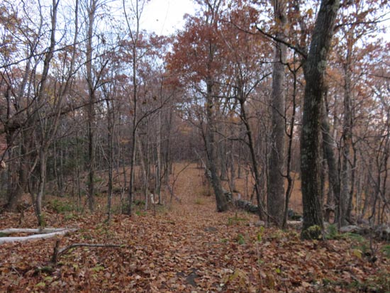 The Crawford Ridgepole Trail