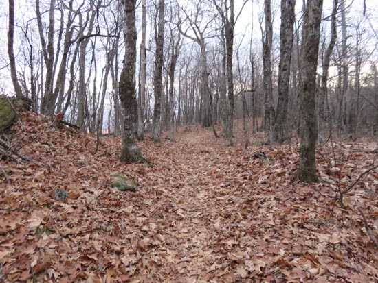 The Crawford Ridgepole Trail