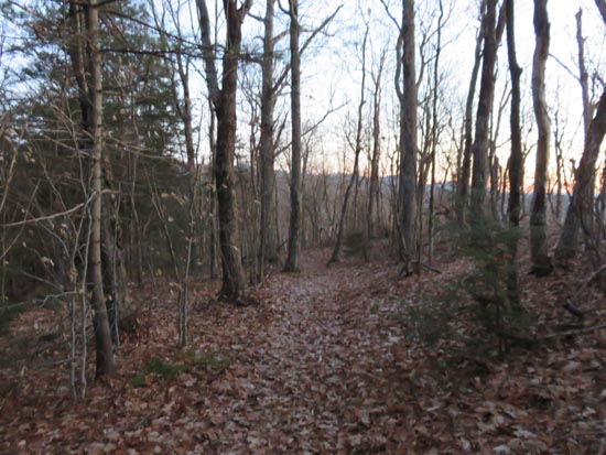 The Crawford Ridgepole Trail