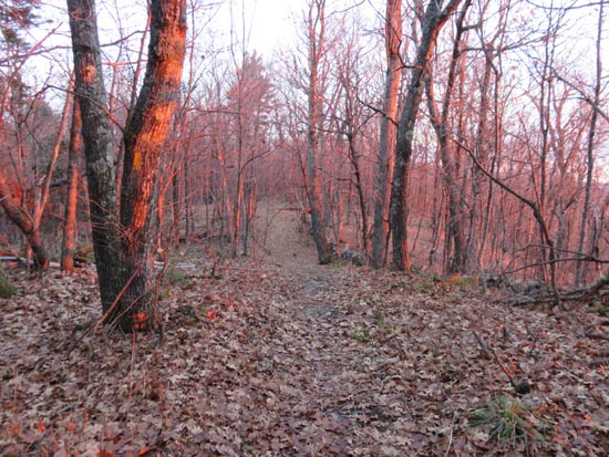 The Crawford Ridgepole Trail
