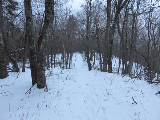 The Crawford Ridgepole Trail