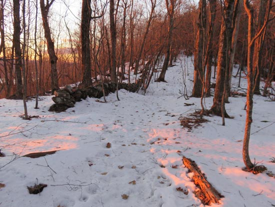 The Crawford Ridgepole Trail