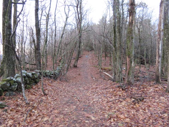 The Crawford Ridgepole Trail