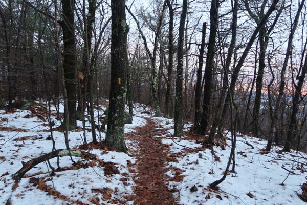 The Crawford Ridgepole Trail
