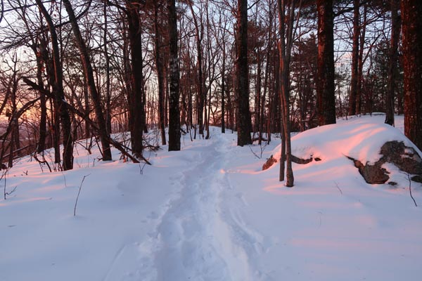 The Crawford Ridgepole Trail