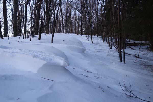 The Crawford Ridgepole Trail