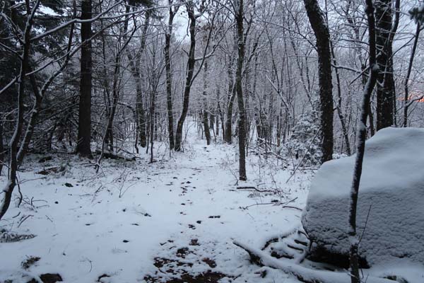 The Crawford Ridgepole Trail