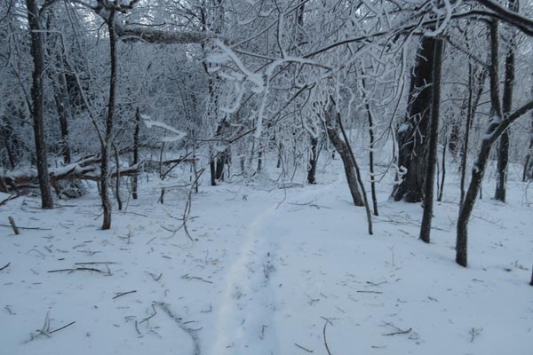 The Crawford Ridgepole Trail