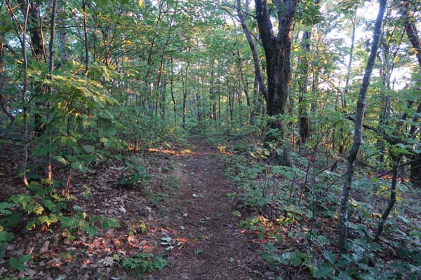 The Crawford Ridgepole Trail