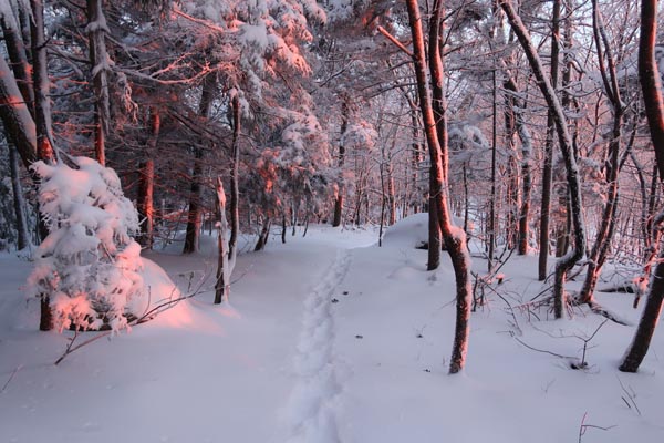 The Crawford Ridgepole Trail