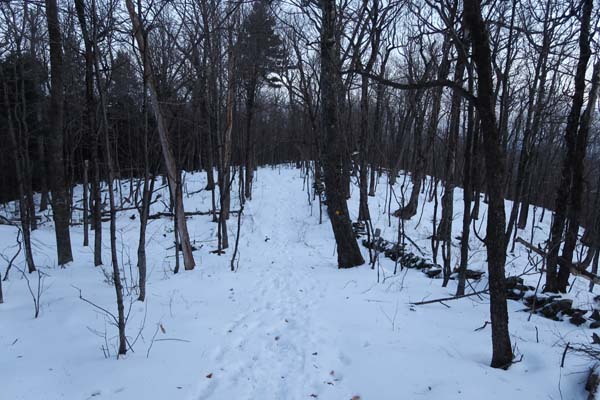 The Crawford Ridgepole Trail