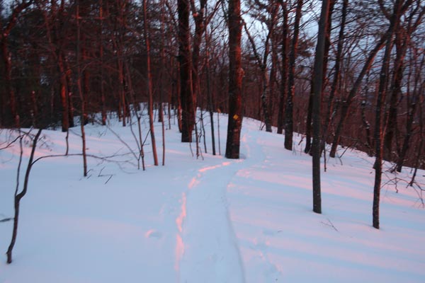 The Crawford Ridgepole Trail