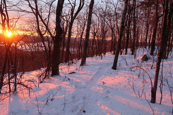 The Crawford Ridgepole Trail