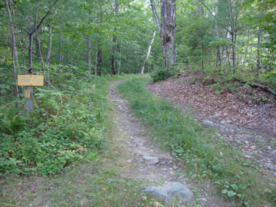 The Old Mountain Road trailhead off Old Highway