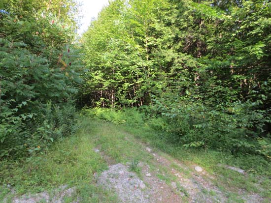 The Old Mountain Road trailhead