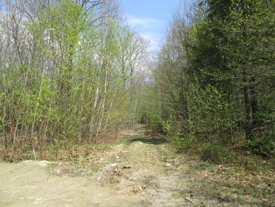 The Old Mountain Road trailhead