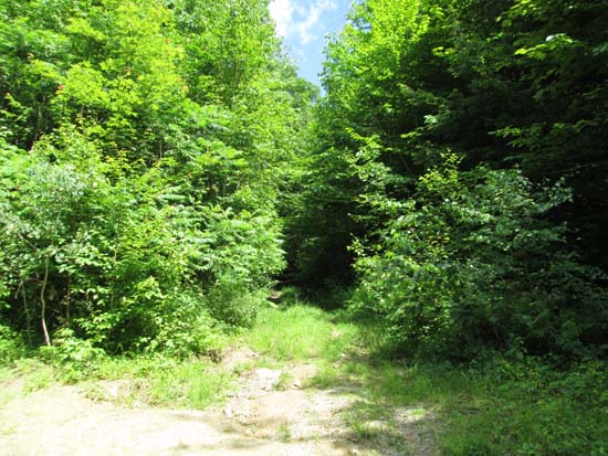 The Old Mountain Road trailhead